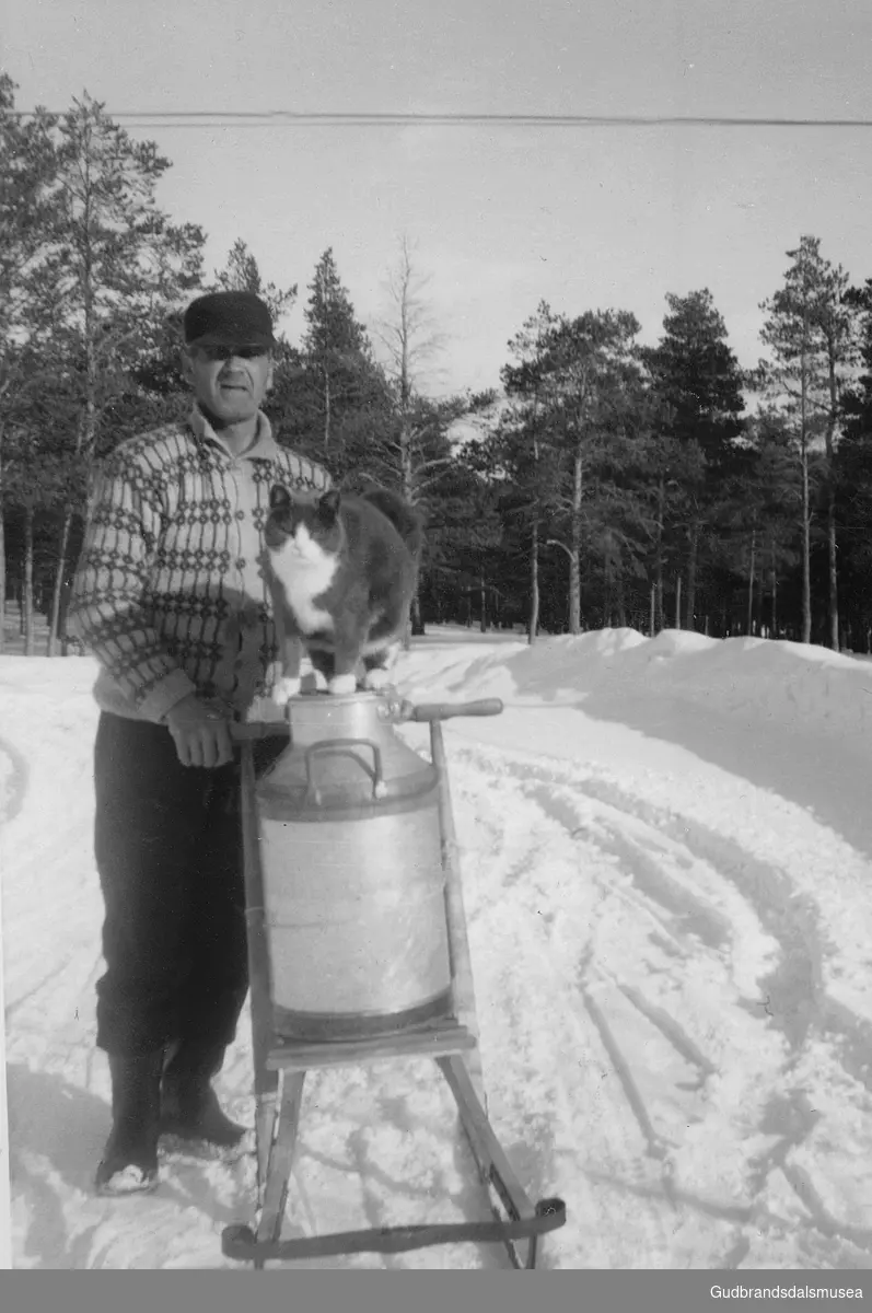 Ragnvald Nørjordet (f. 1911) fraktar mjølkespannet til riksvegen i Bismo med spark