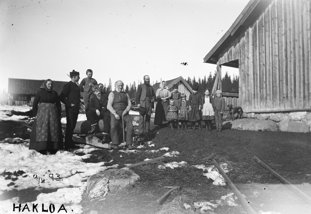Oslomarka, Hakloa i Nordmarka, utflukt 09.04.1893, gruppe ukjente påsketurister