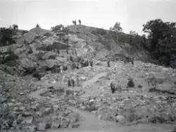Gruppe mennesker i en fjellhage, utstilling av vekster, stei