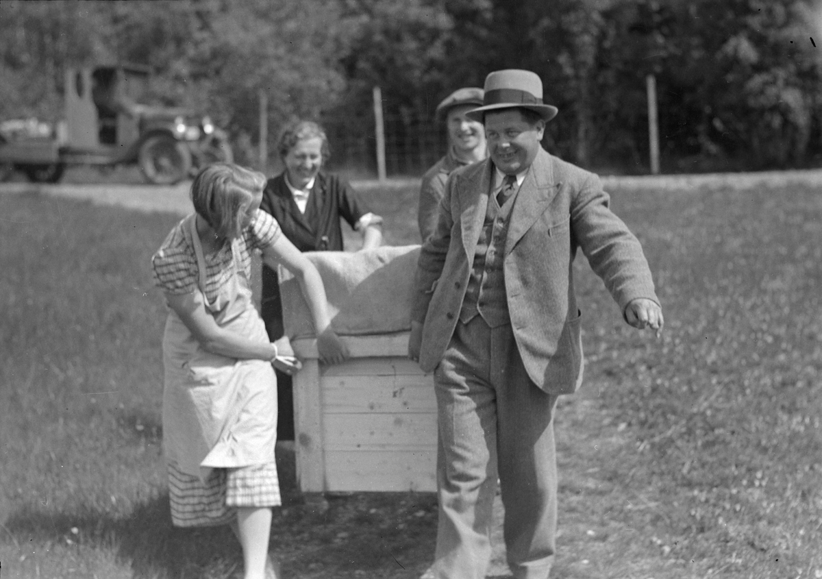 Svaner slippes ut på Sverresborg