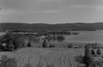 Ludvika, Grangärde. Utsikt från kyrktornet 1953.