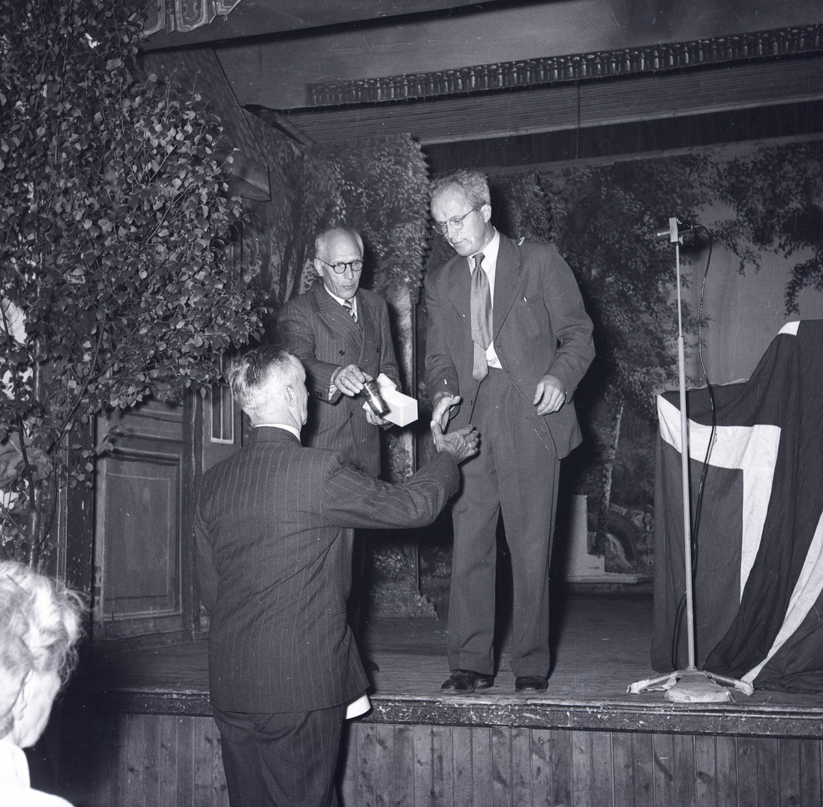 Bilde frå årsmøtet i Telemark landbruksselskap i Treungen i 1954.  