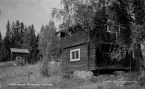 Ludvika, Gröntuvstugan. Morhagens Fäbodvall 1953.