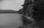 Idkerberget. Hästsveden, Badstranden 1953.