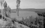 Idkerberget. Sjön Hästsveden 1956.