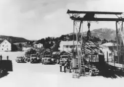 Tømmerbilar ved tømmerkrana på Bø stasjon.