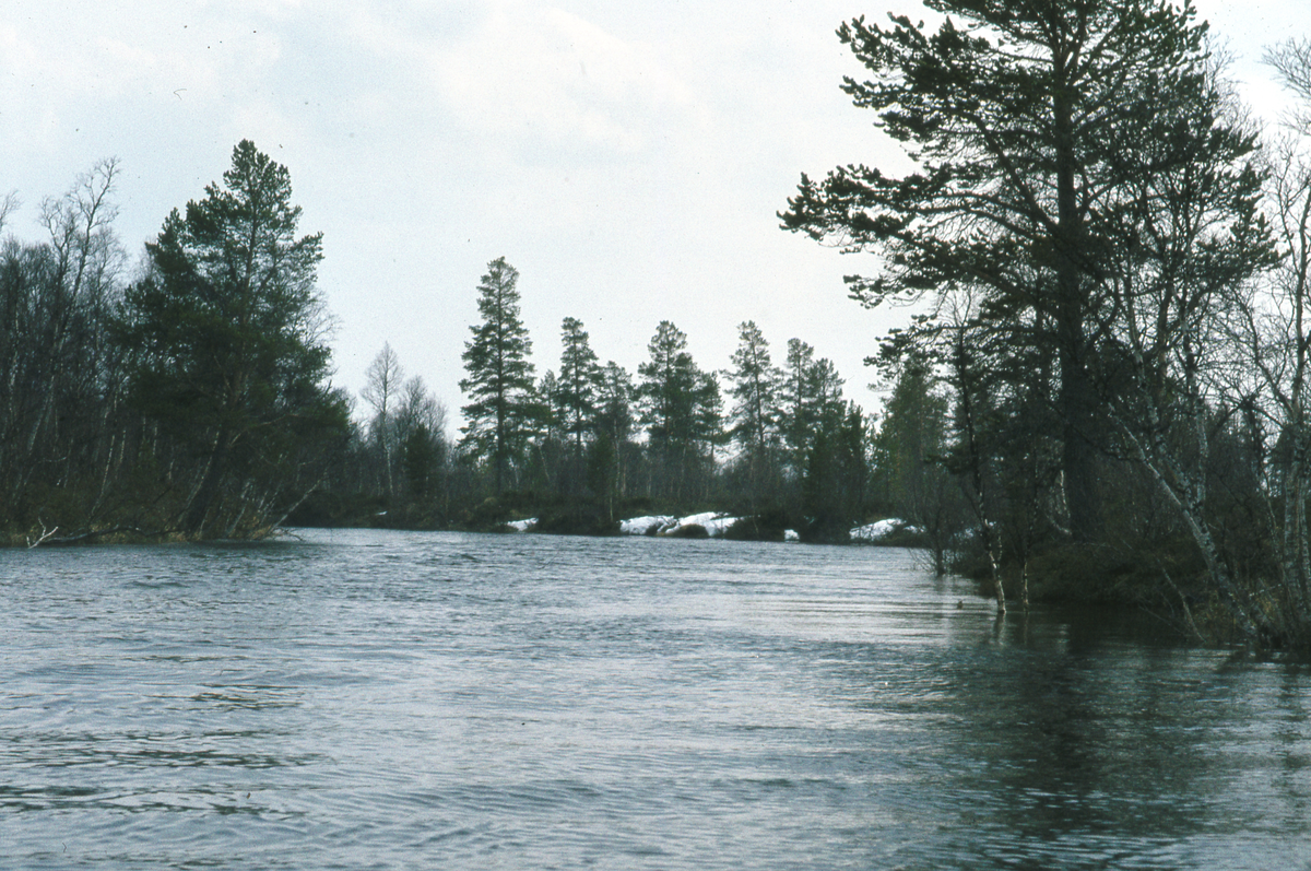 Elv, landskap Tufsingdalen 1983 Elv.Natur og landskap