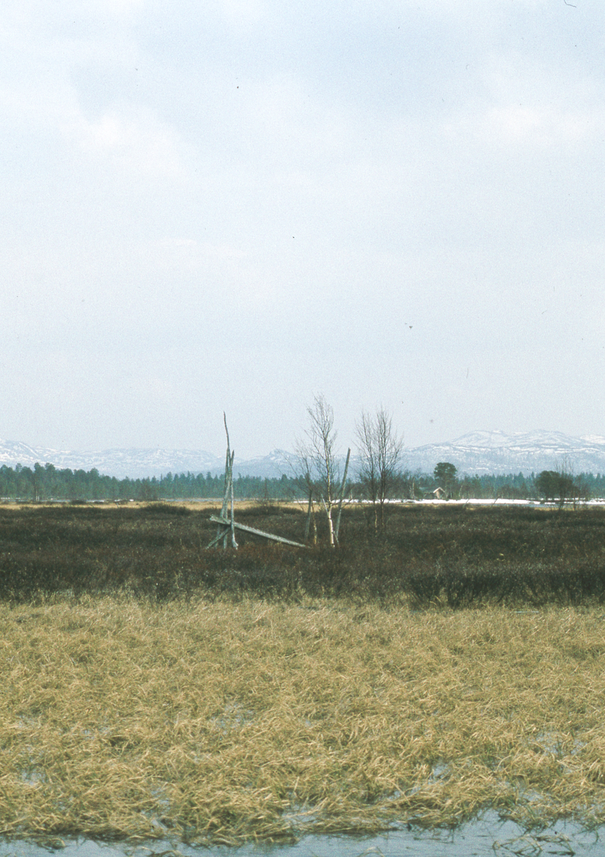 Elv, landskap Tufsingdalen 1983 Elv.Natur og landskap