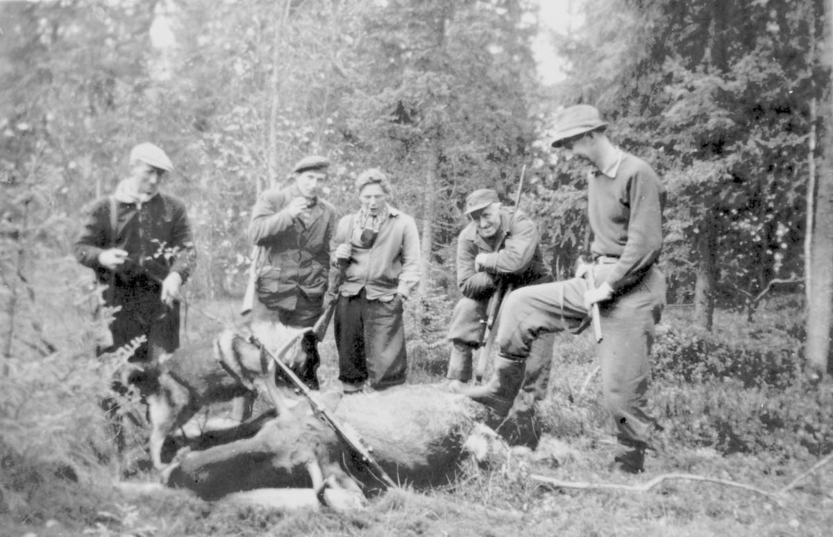 Brødrene Nordlands og Lieds Jaktlag, fra venstre Harald U. Lied, Andreas Nordland, Åge Nordland, William Nordland og Marcus Nordland.