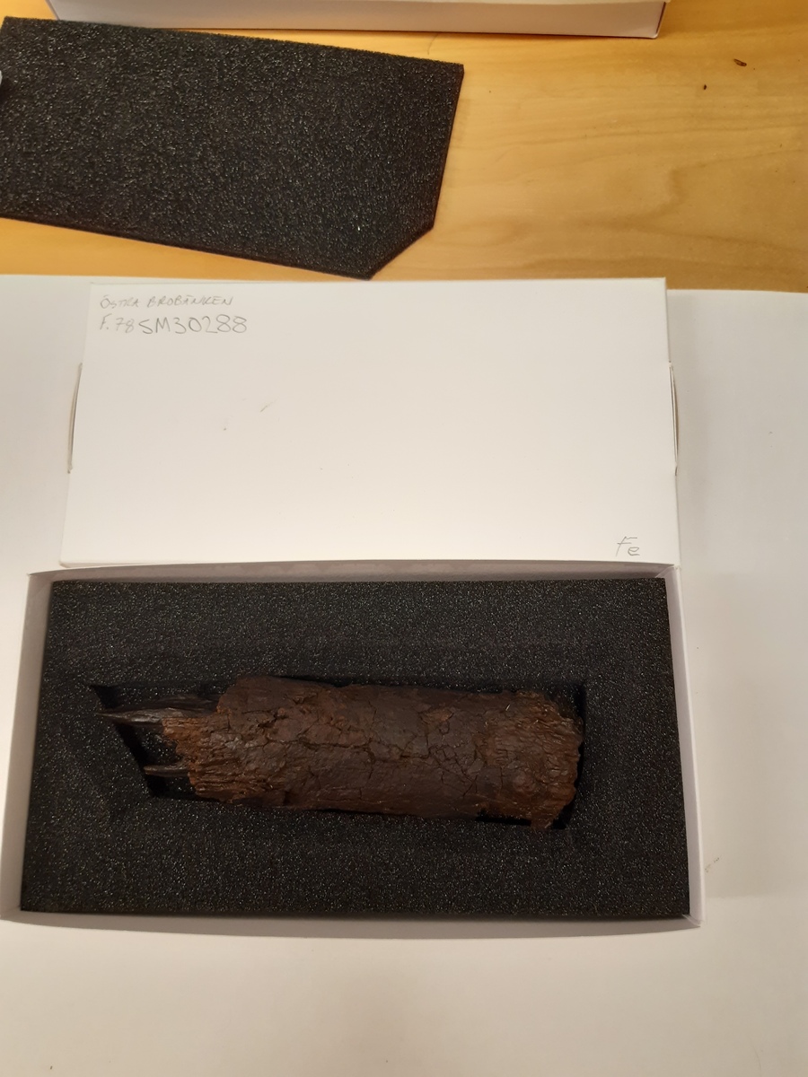 Del av bult. Oklart om det är huvuddelen eller om det är brott i 
bägge ändar. Originalytan är sprucken och mindre delar har fallit av. En större krusta i ena änden.