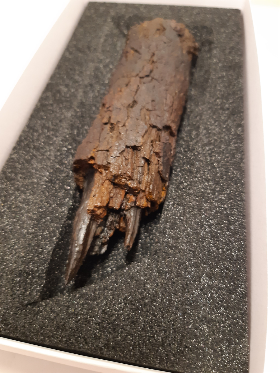 Del av bult. Oklart om det är huvuddelen eller om det är brott i 
bägge ändar. Originalytan är sprucken och mindre delar har fallit av. En större krusta i ena änden.