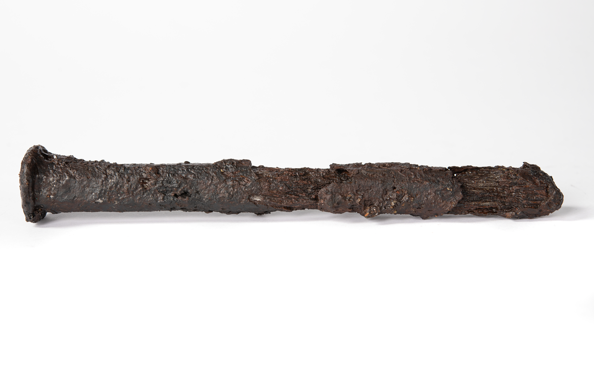 Tydligt huvud. Stora krustor på kroppens nedre del. Här är den delvis genomkorroderad och ytan finns som ett tunt skal i krustan.