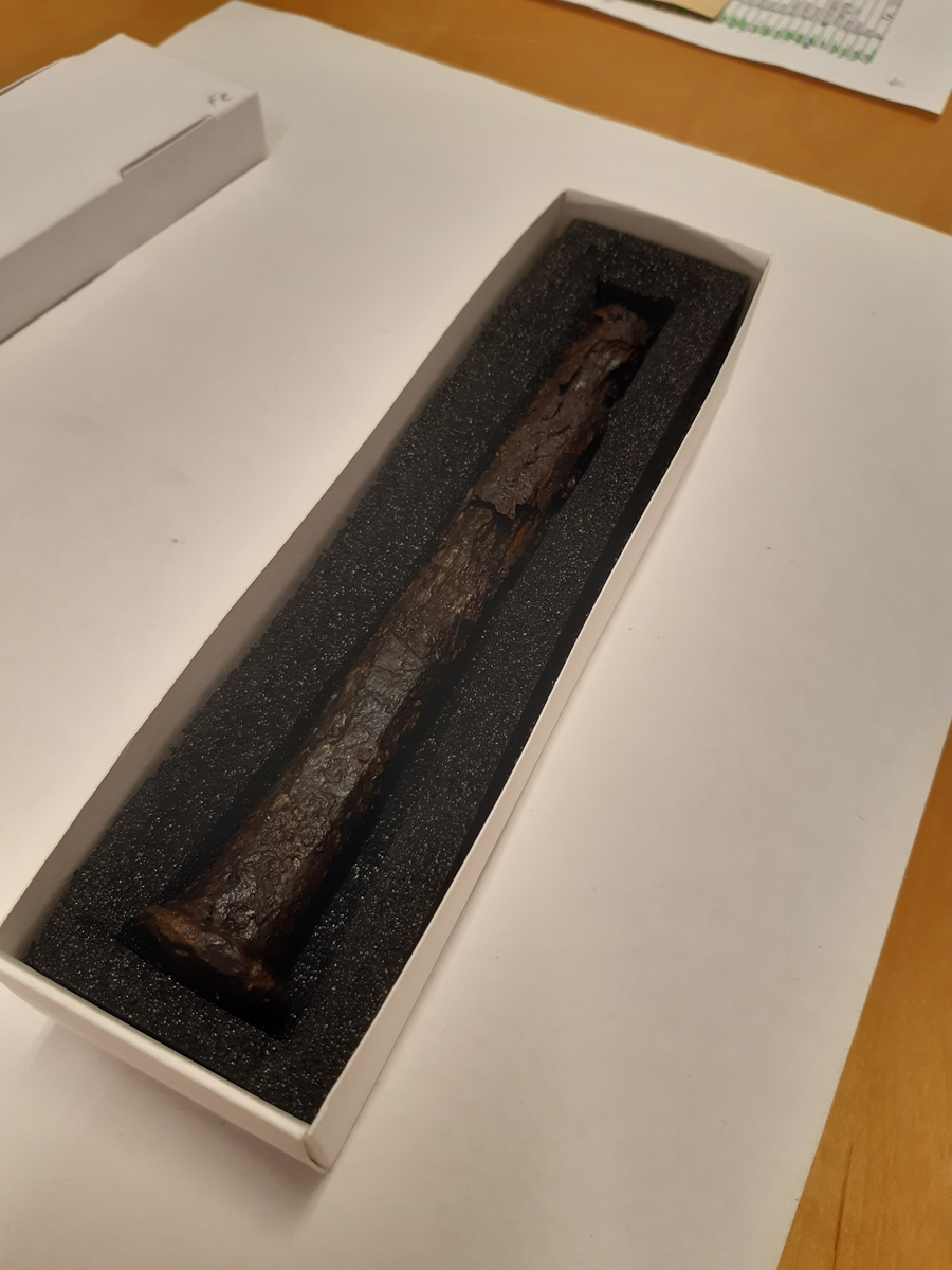 Tydligt huvud. Stora krustor på kroppens nedre del. Här är den delvis genomkorroderad och ytan finns som ett tunt skal i krustan.