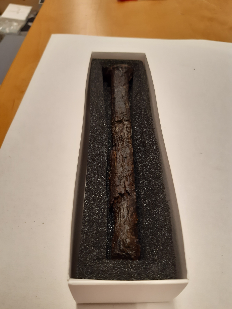 Tydligt huvud. Stora krustor på kroppens nedre del. Här är den delvis genomkorroderad och ytan finns som ett tunt skal i krustan.