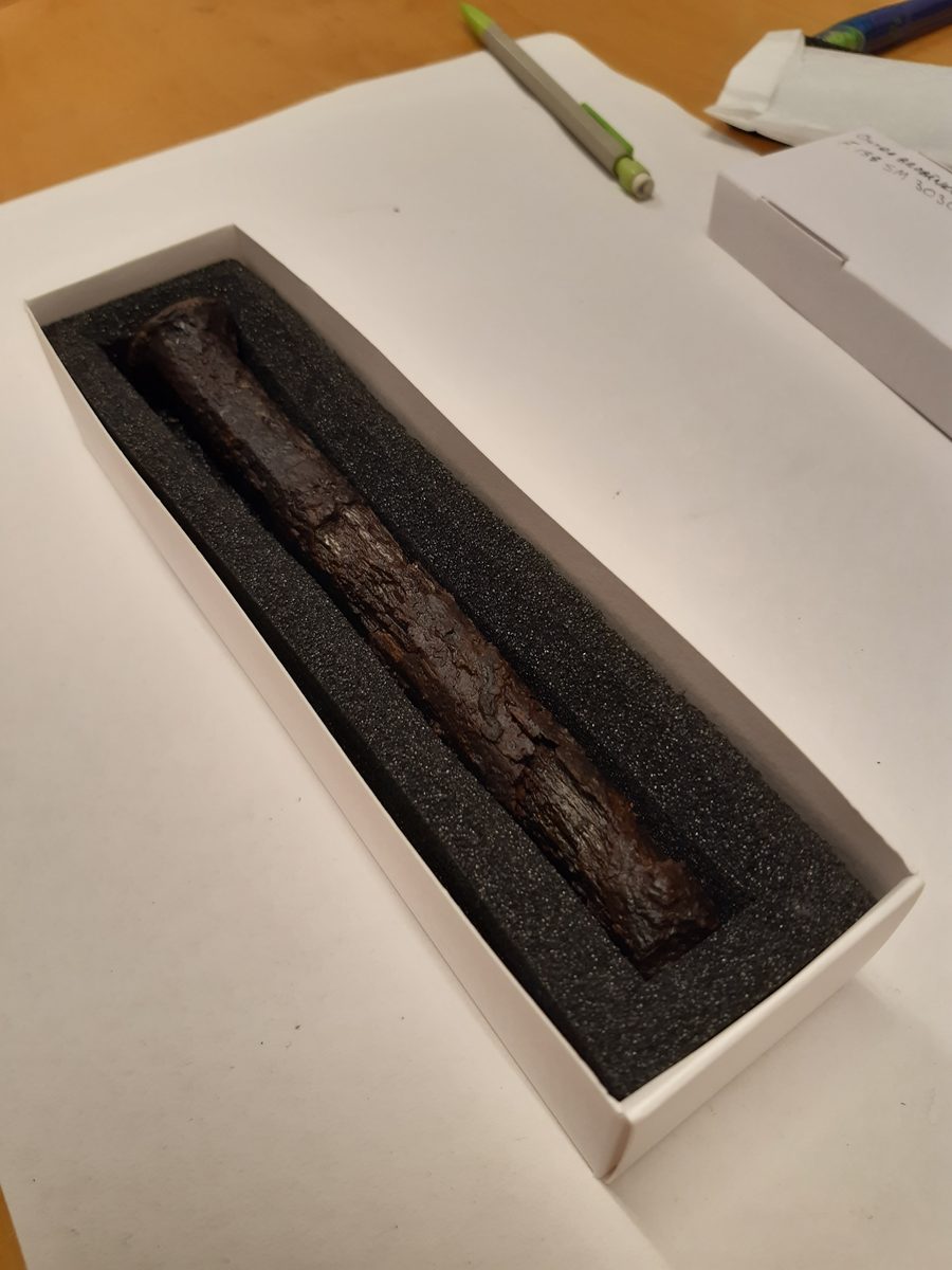 Tydligt huvud. Stora krustor på kroppens nedre del. Här är den delvis genomkorroderad och ytan finns som ett tunt skal i krustan.