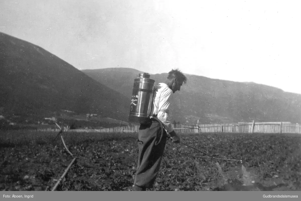 Andreas Åboen (f. 1900) med ugrassprøyte