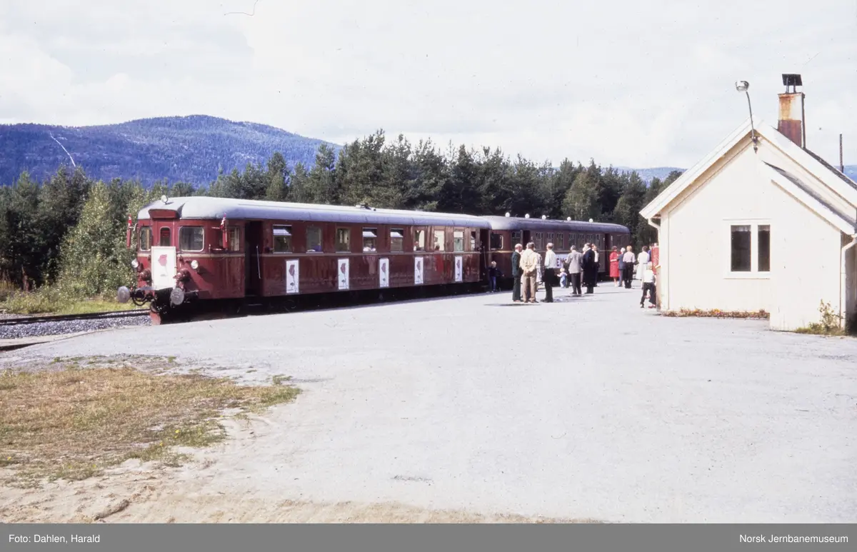 Dieselmotorvogn BM86/91 med styrevogn med Arbeiderpartiets valgkamptog på Flesberg stasjon