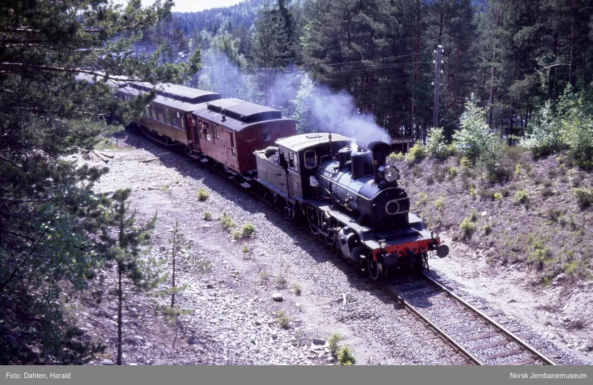 Damplokomotiv 21b 225 med veterantog mellom Flesberg og Rollag på Numedalsbanen