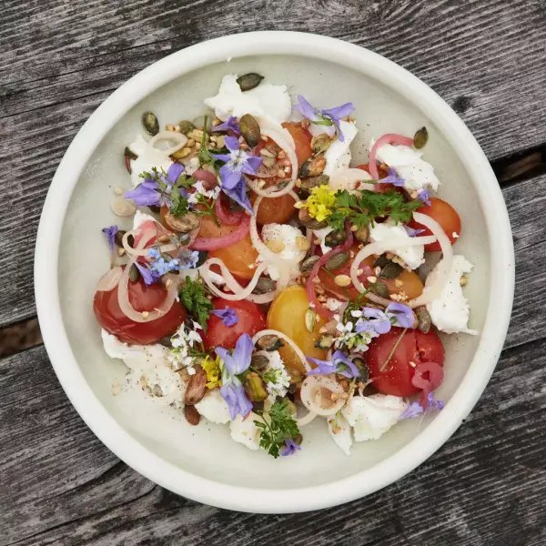 En frisk sommersalat med ost og tomat. 