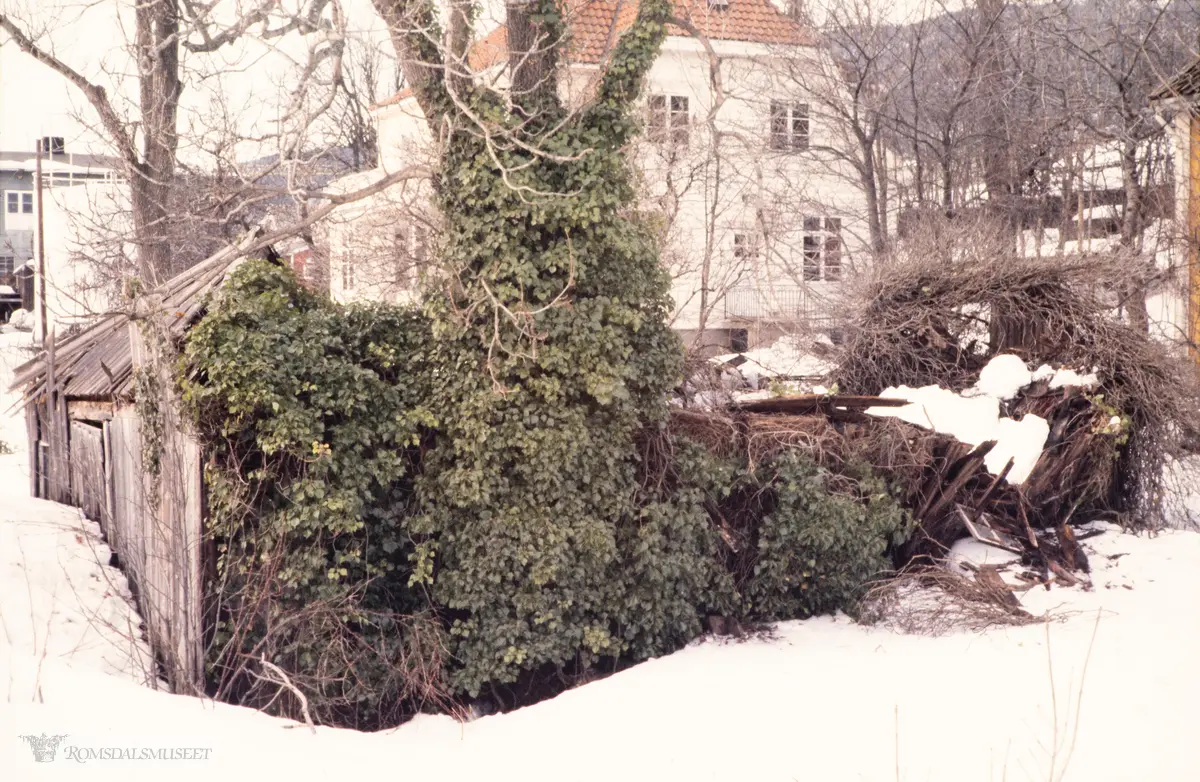 Naust ved Fjærestua..Molde. febr. 1985..Brakstad-huset midt i bildet. Det vart flytta vest for Fylkeshusa kring år 2000.