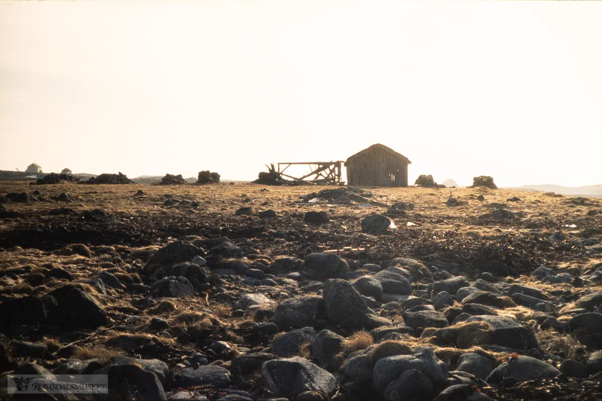 Naustrekke på Tangen, Male.på Hustad 1981