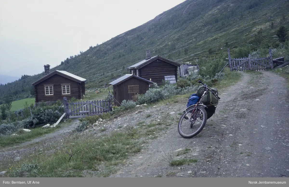 På sykkel ved Sandsætri i Vågå kommune