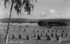 Motiv från Vika Strand, Falun 1944.