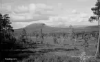 Nipfjället, Idre 1948.