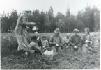 Kila sn, Lågbo.
Kaffepaus vid potatisplockning, 1933.