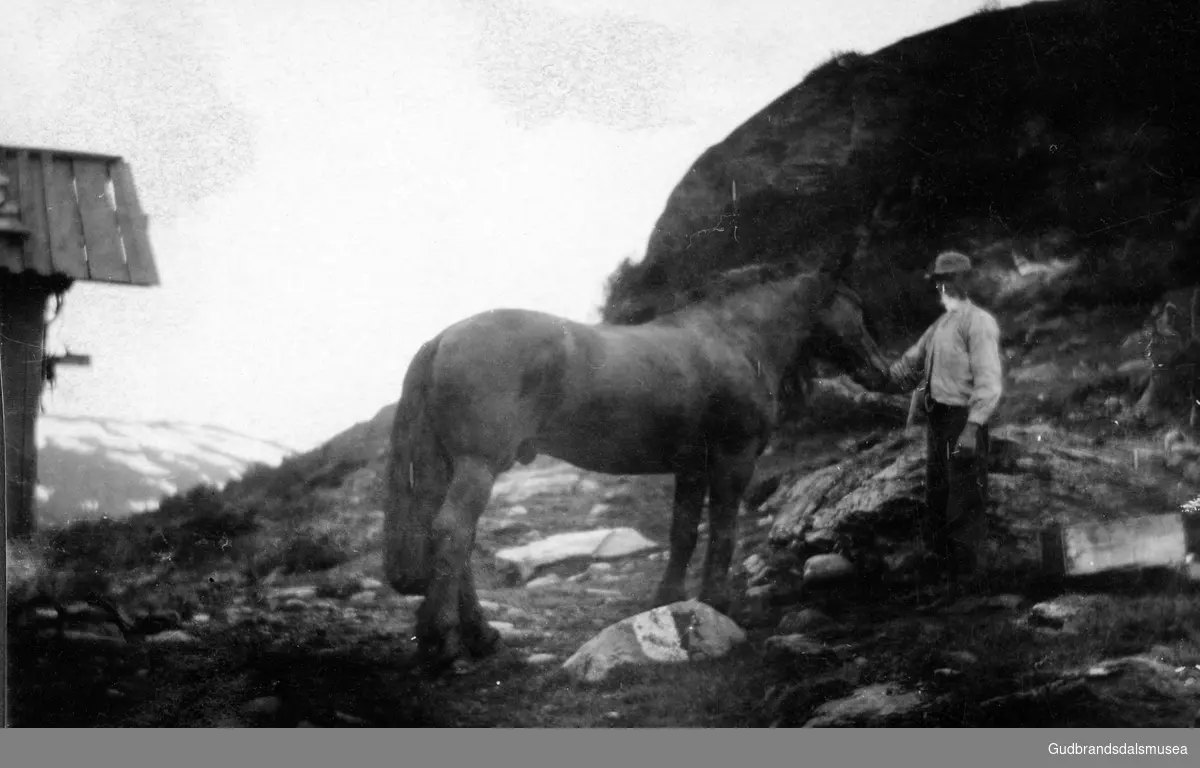 Leirongsdalen. Vågå.
ukjent.

Innlånt album fra Knut Raastad, Sande (Nordherad), Vågå. Første eier; Reidun Snerle g. Raastad 1933-2006