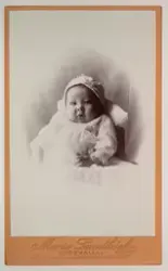 Visitkortsporträtt av Tore Zachau. Fotografiet sitter i foto