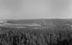 Utsikt från utsiktstornet, Smedjebacken 1953.