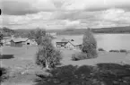 Särnaheden, Särna 1948.