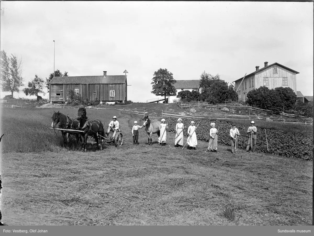 Två bilder från en gård. På första bilden pågår slåtter och hela familjen hjälper till. Två hästar är spända framför en slåttermaskin och en pojke håller ytterligare en häst. På andra bilden är människorna uppradade framför mangårdsbyggnaden som ser ut att vara spönad men inte målad.