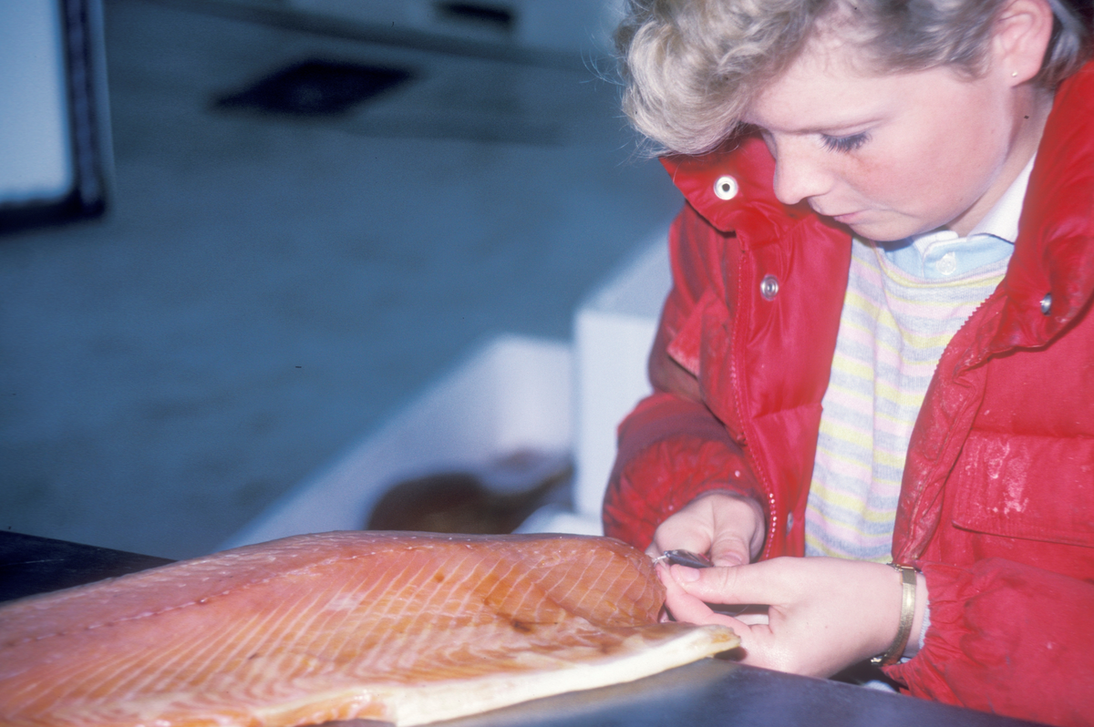 Bjugn, 1986, SIMO : En person fjerner bein fra en fiskefilet