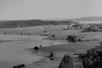 Ludvika, Sunnansjö. Utsikt från Uvberget 1953.