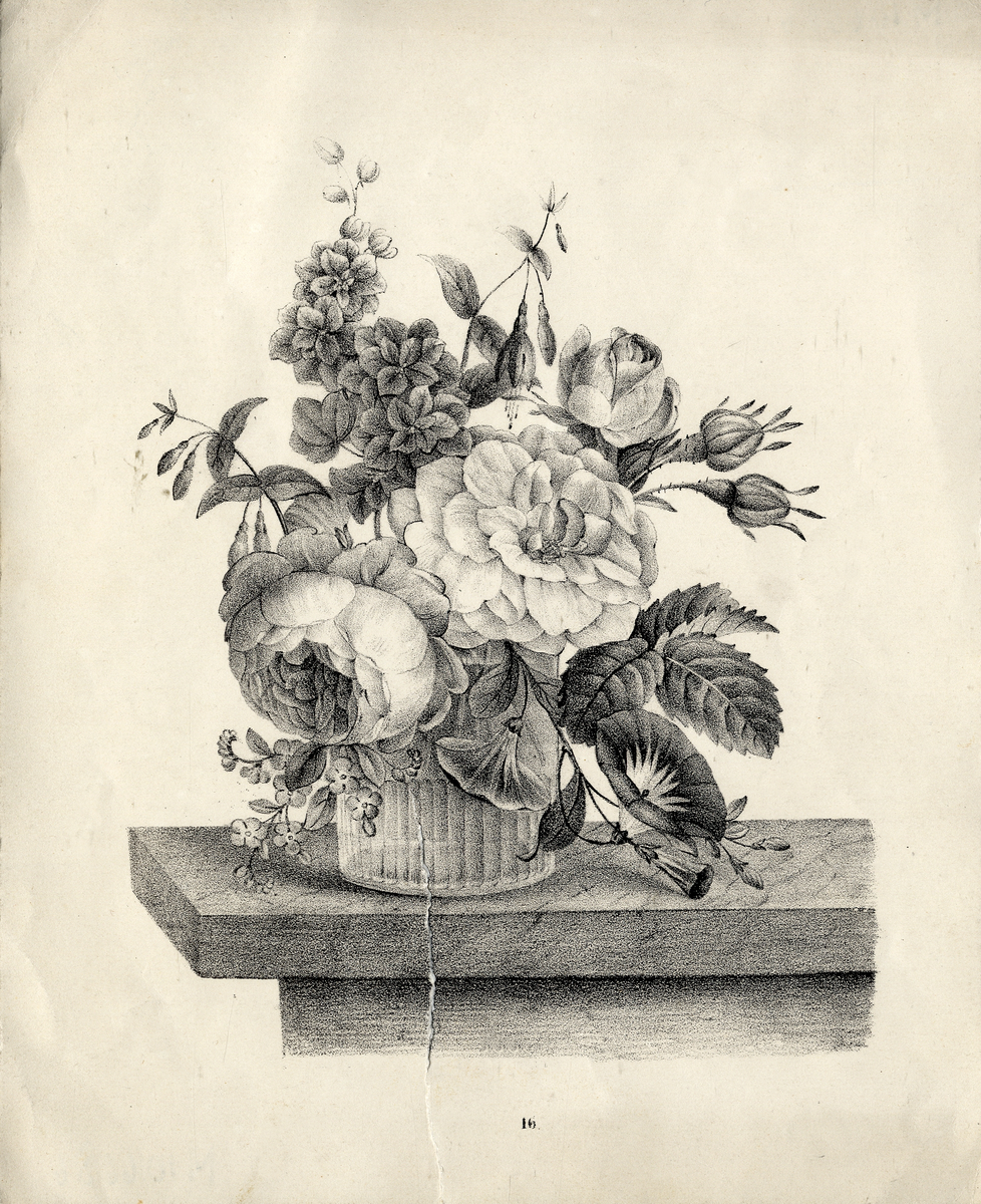 5 st. mönsterblad med blommor, blad och frukter.
2 litografier, 1 blyertsteckning och 1 kolteckning.


Inskrivet i huvudbok 1940.