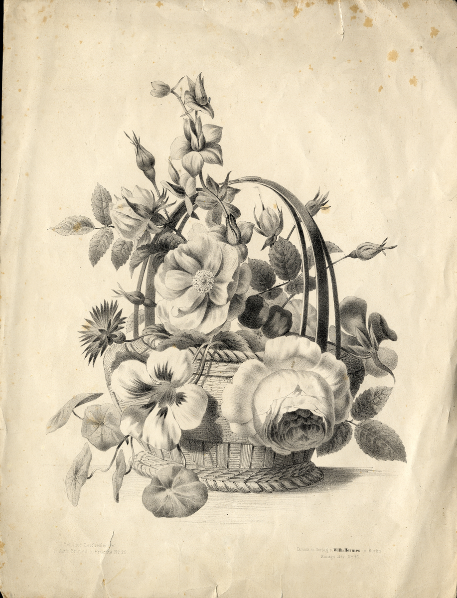 5 st. mönsterblad med blommor, blad och frukter.
2 litografier, 1 blyertsteckning och 1 kolteckning.


Inskrivet i huvudbok 1940.