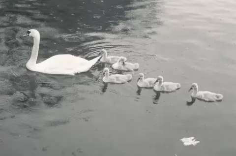 DELA DITT NACKA - DJUR OCH NATUR