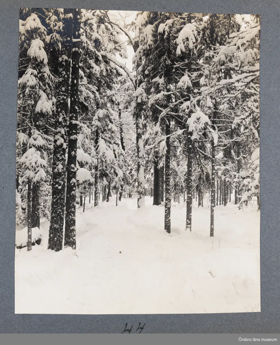 Album med bilder runt Nora och Kopparberg.