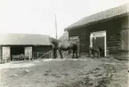 Kolbäck sn, Nibble.
Hästar på stallbacken, 1927.