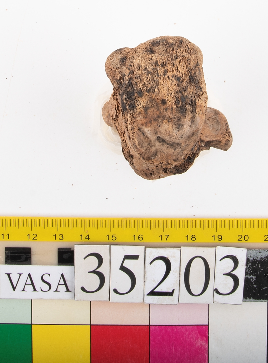 Hälben, höger. Något smuligt.
Calcaneus, dexter.