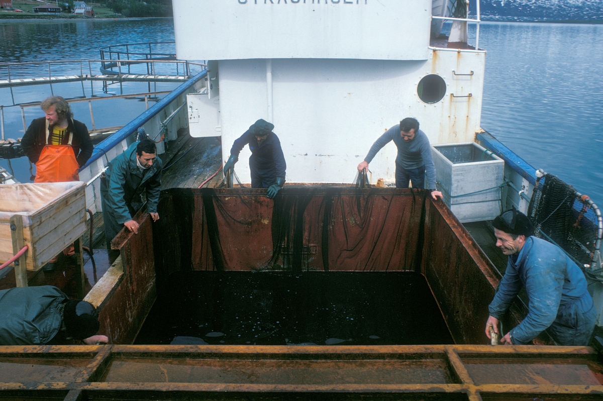 Tromsø, 1976, Unifisk : 6 menn på dekk ombord brønnbåten Straumholm.