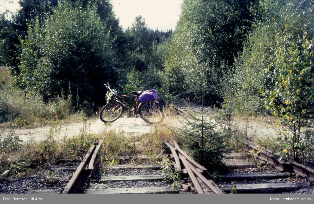 Nedlagt industrispor ved Geithus Bruk på Randsfjordbanen