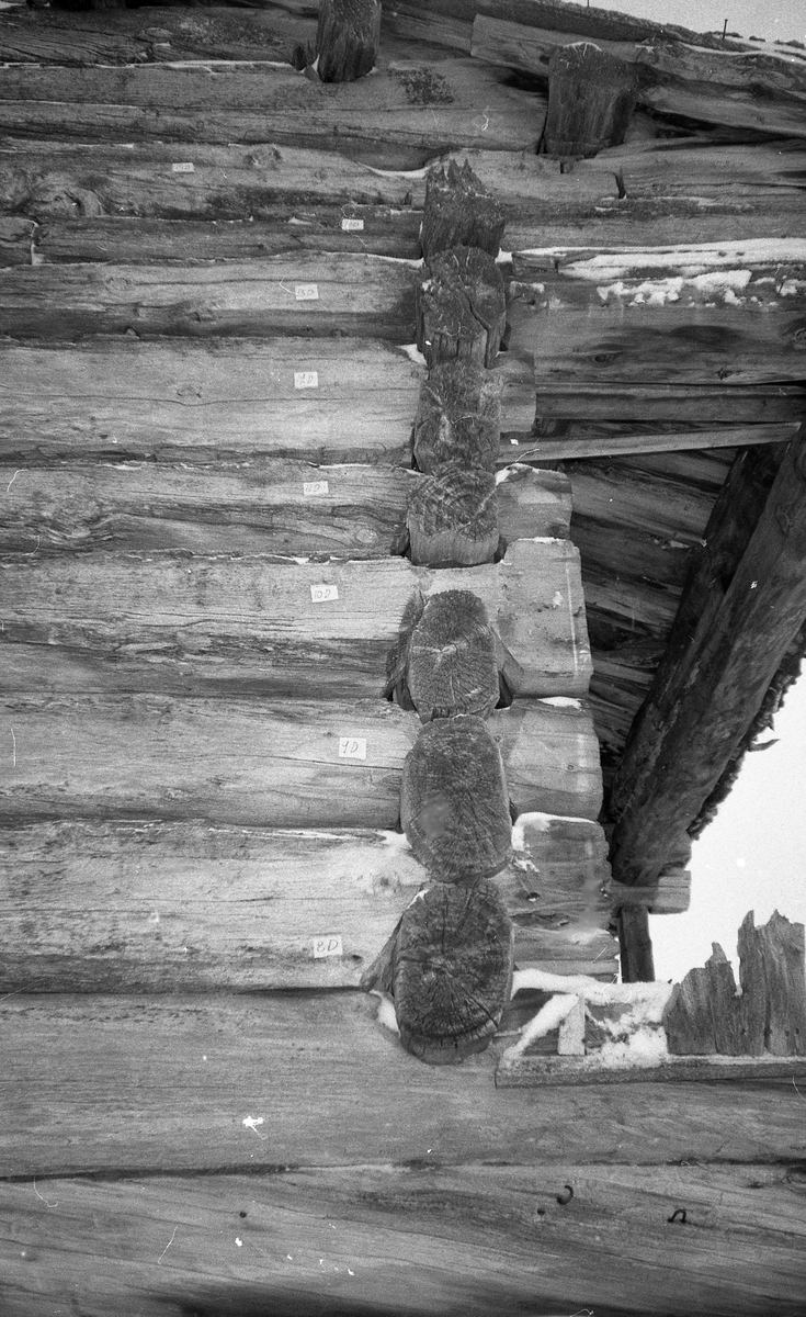 Nedtaking av stall, Løkken, Kvikneskogen