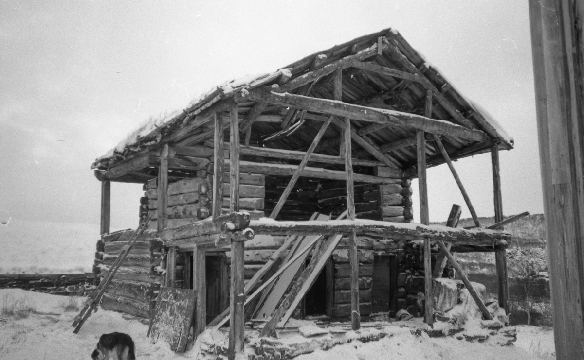 Nedtaking av stall, Løkken, Kvikneskogen