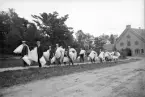 Motiv från manliga studentmötet i Bjärka Säby 1905. Bilden visar studenterna på sin väg till slottets kornmagasin där de ska logera.