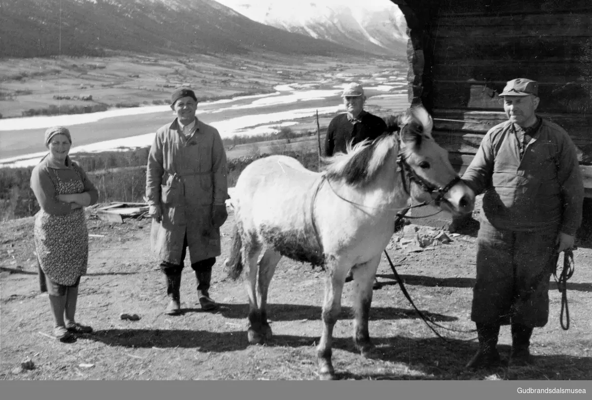 Frå nordgard Skrinde.  
F.v.: Liv Skrinde (f. Skåre 1918), Peder Skrinde (f. 1920), Torvald Skrinde (f. 1895), Ola Hagen (f. 1900) med hest