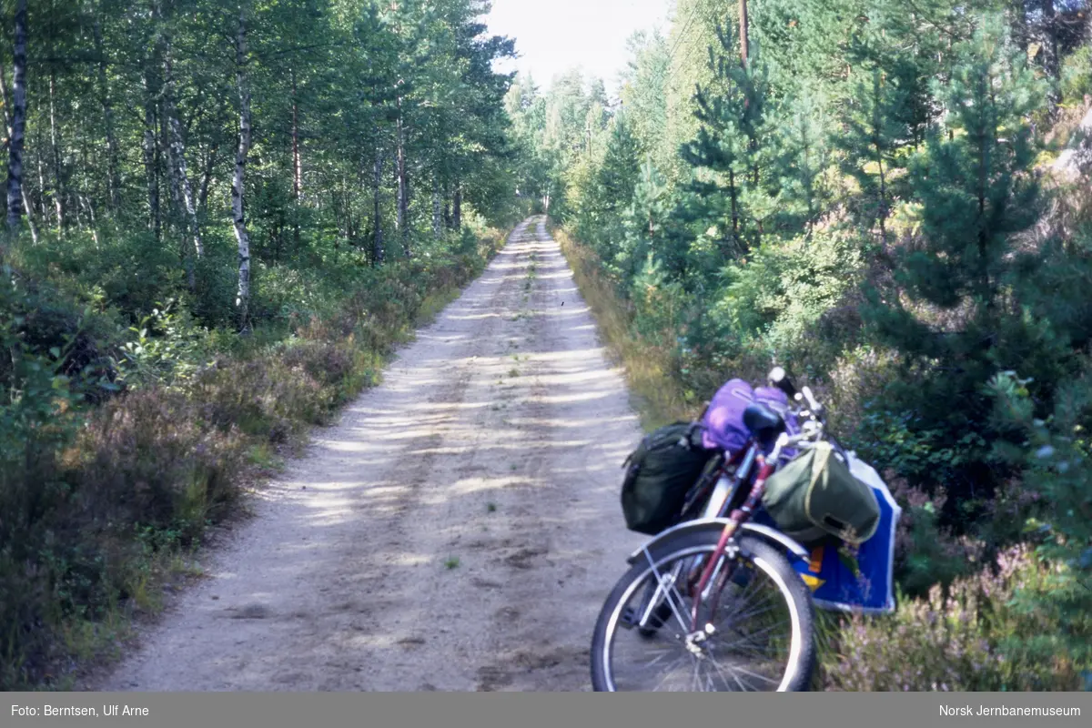 På sykkel langs nedlagte Setesdalsbanen, her ved Hestvåg mellom Hornnes og Moisund