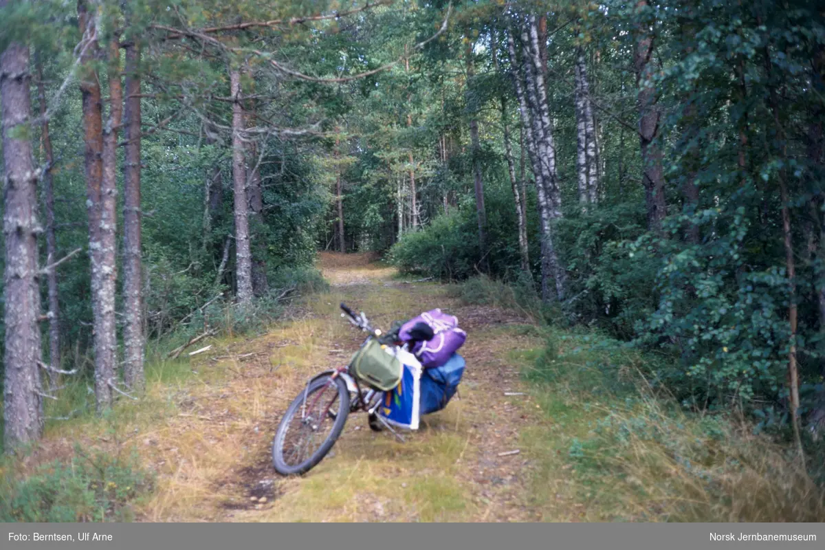 På sykkel langs nedlagte Setesdalsbanen, her ved Hestvåg mellom Hornnes og Moisund